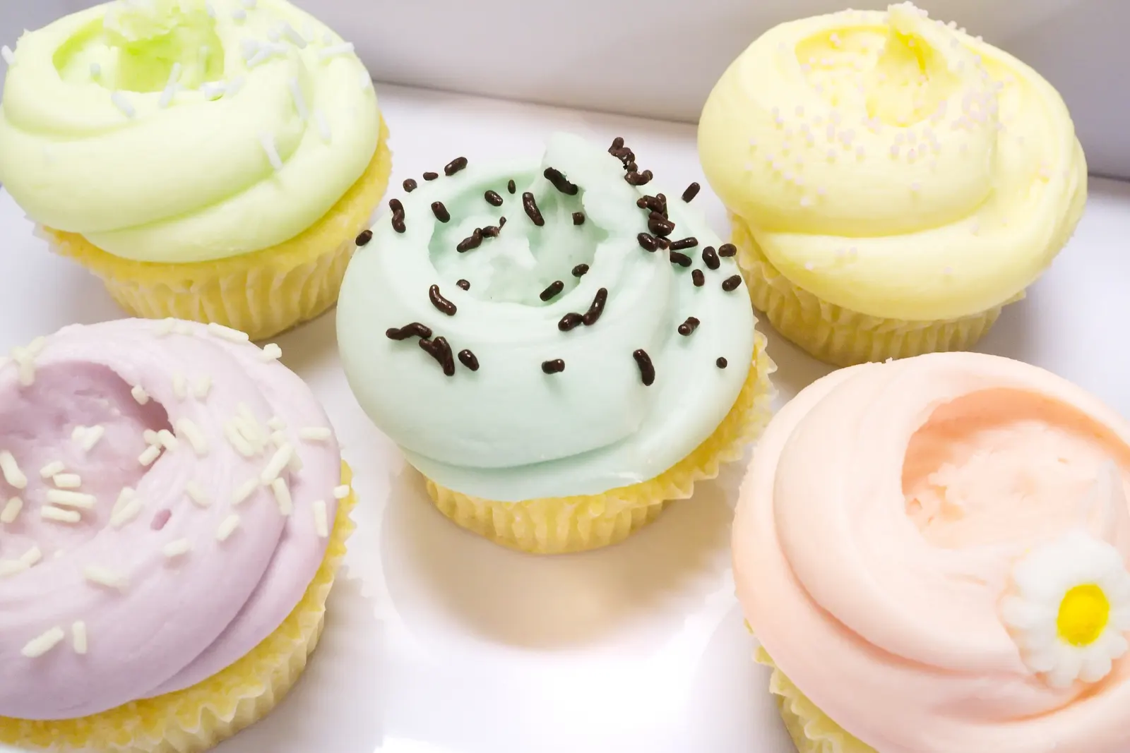 Whimsical homemade mini cakes in various flavors at a Sweet n' Sassy Creations dessert bar in East El Paso TX